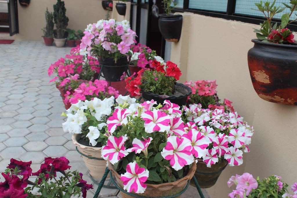 Dipankara Holiday Home Katmandu Dış mekan fotoğraf