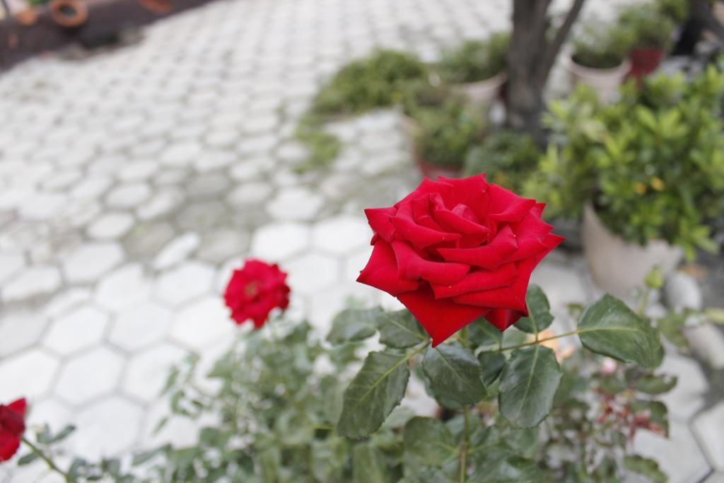 Dipankara Holiday Home Katmandu Dış mekan fotoğraf